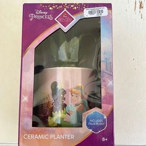 Disney Princess Ceramic Planter w/ faux succulent